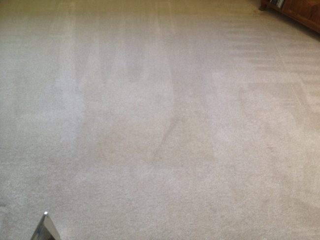 So you think your carpets are clean?