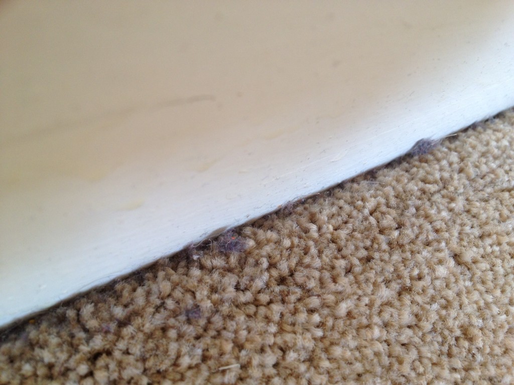 general-cleaning-and-carpet-cleaning-2