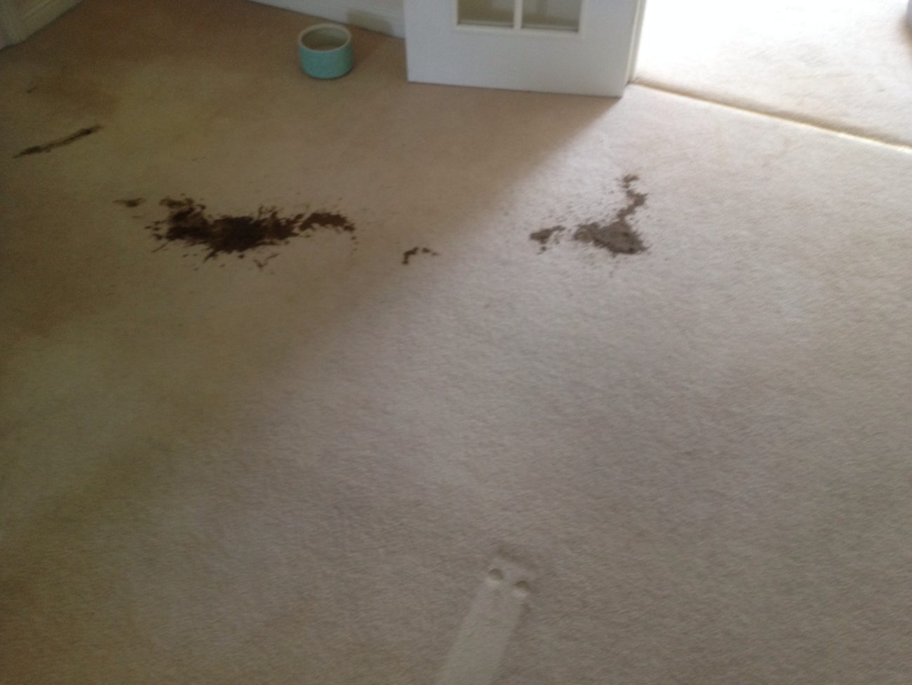 Specialist Treatments Archives ProSteamUK