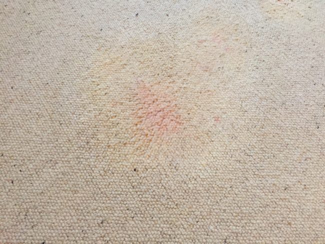 Carpet stain DIY carpet stain removel
