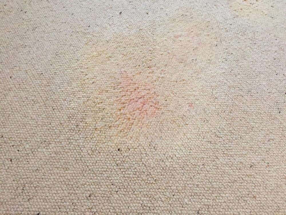 DIY carpet stain removel