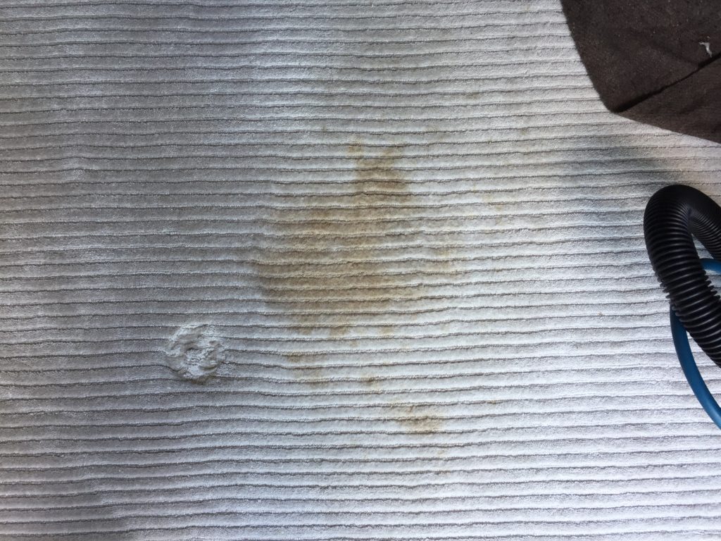 IMG_6488 carpet stain