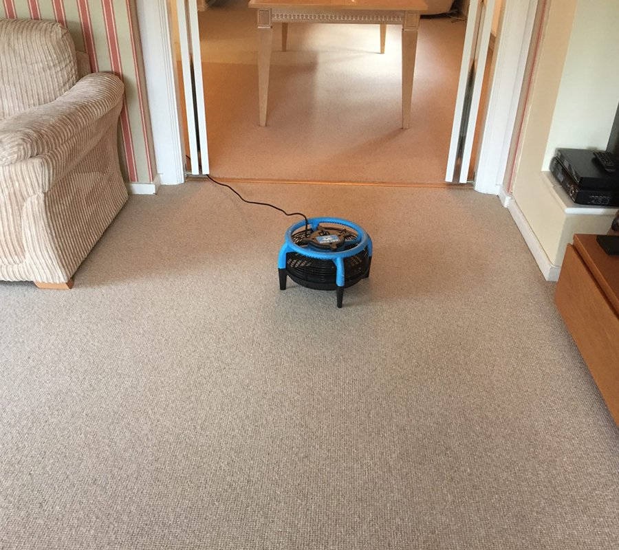 Eco-Friendly-Carpet-Cleaning