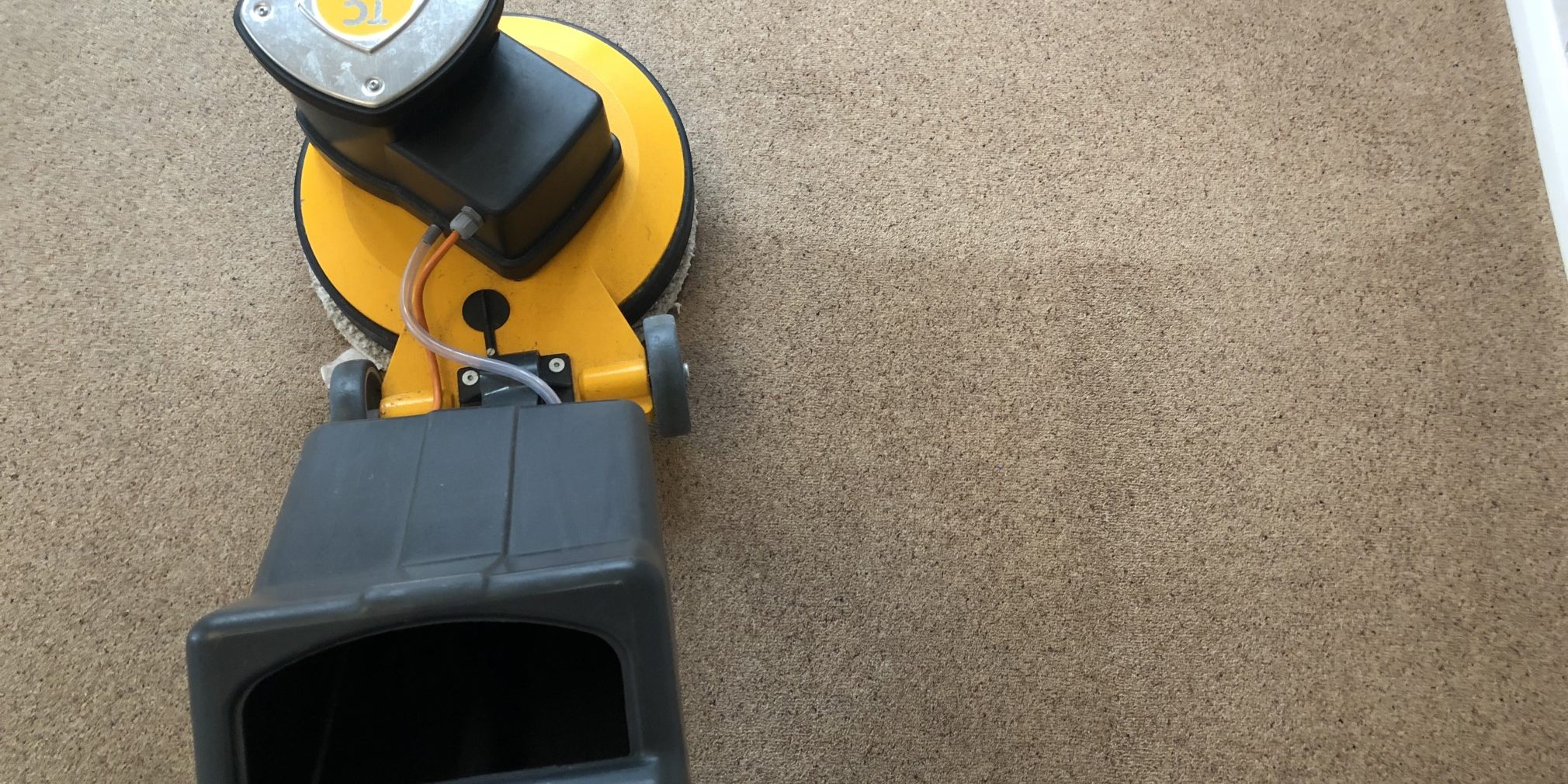 carpet cleaning in farnham