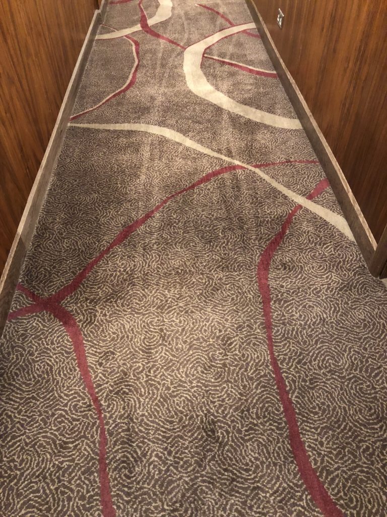 IMG_1269(1) Vacuum cleaning carpets