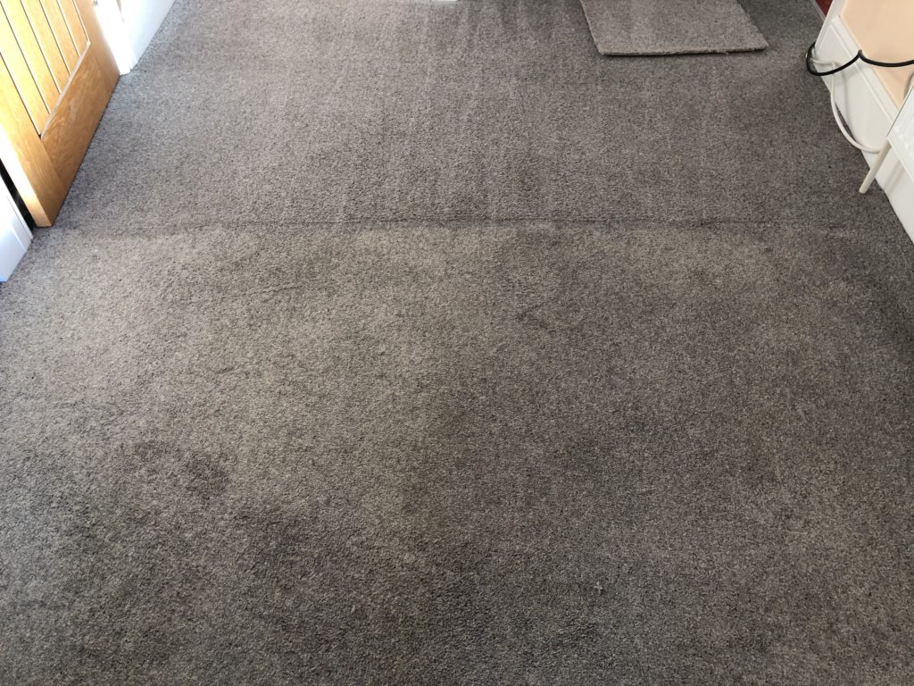 IMG_4930 carpet & upholstery cleaning in Fleet