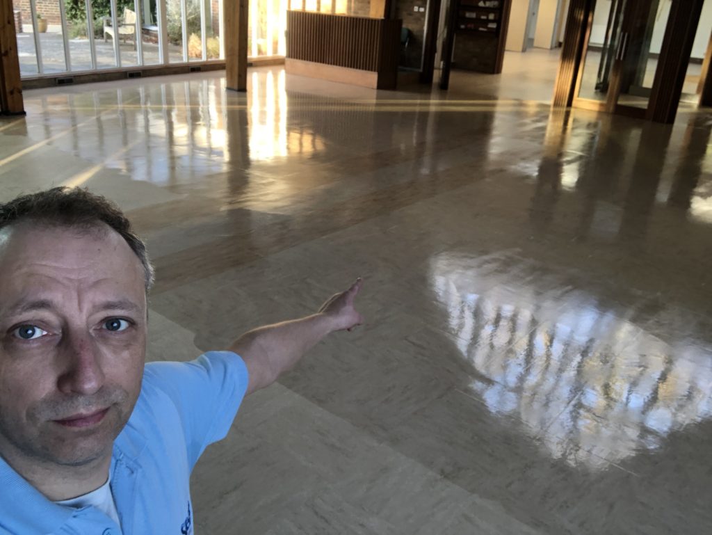 Sealing vinyl floor cleaning and sealing