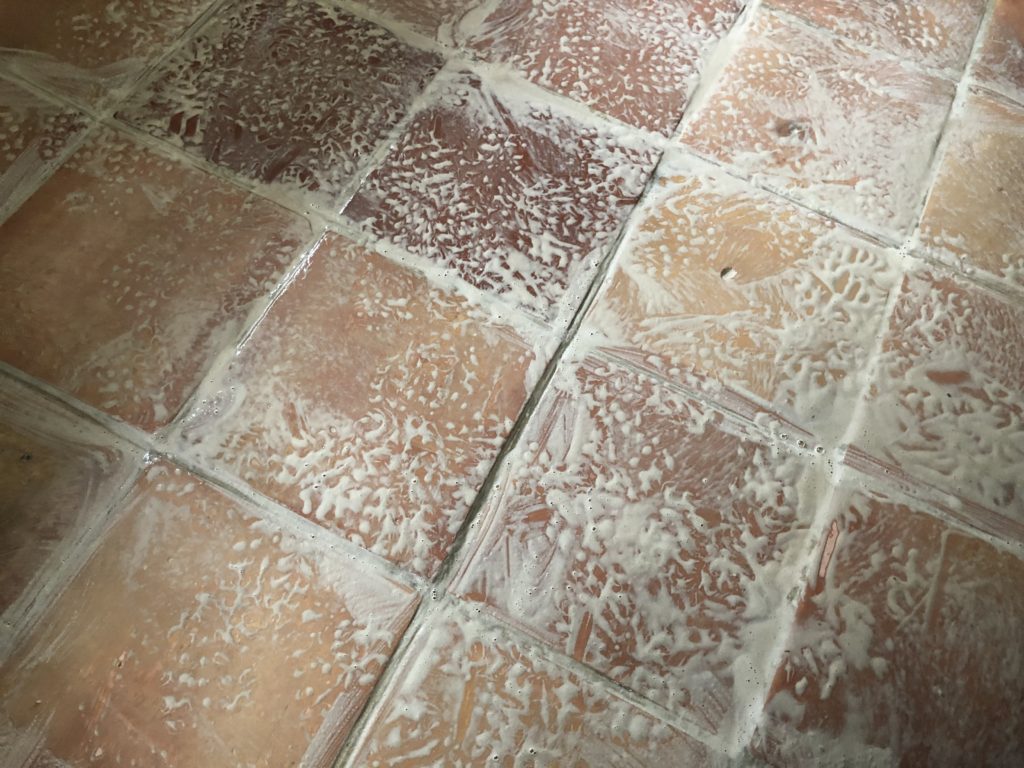IMG_2404(1) Hard floor stripping