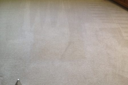 So you think your carpets are clean? The square of truth!