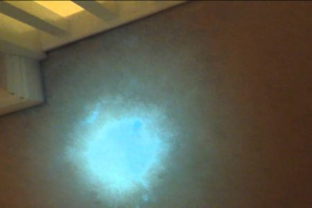 carpet-cleaning-urine-detection-aldershot