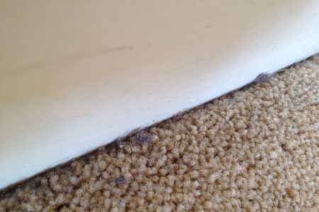 general-cleaning-and-carpet-cleaning-2