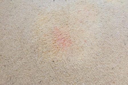 DIY carpet stain removel